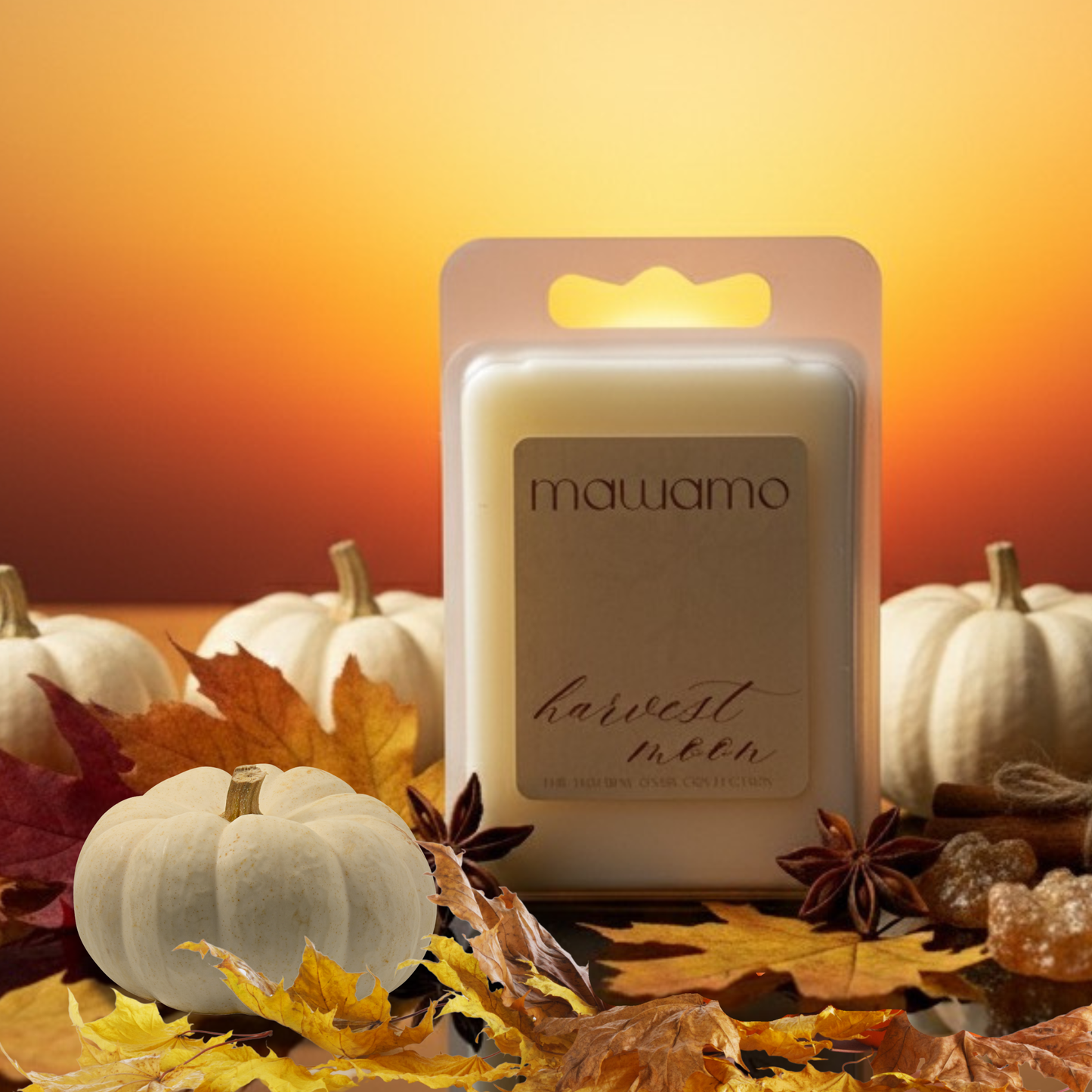 HARVEST MOON | White Pumpkin + Amber