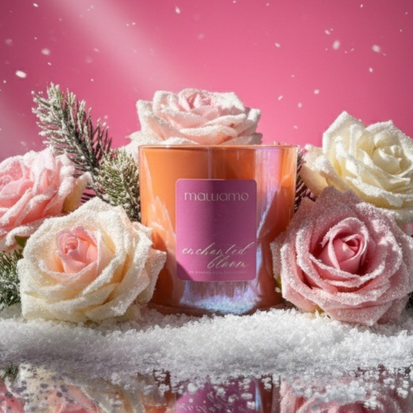 Enchanted Bloom | White Rose + Spruce