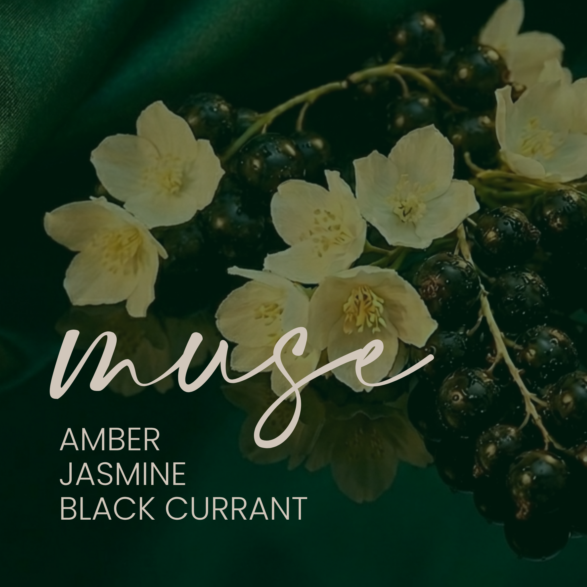 MUSE